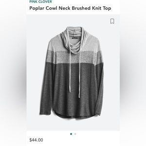 Poplar Cowl Neck Brushed Knit Top